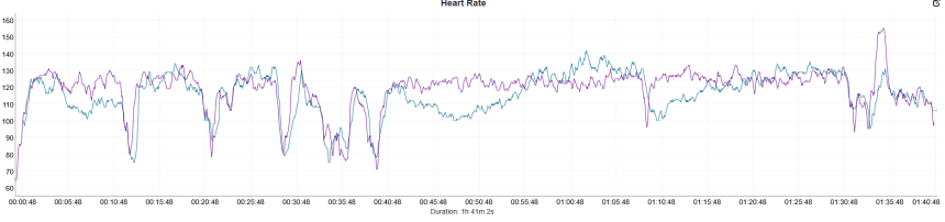 Natación. Azul – Coros Pace 4, morado – Polar Verity Sense.