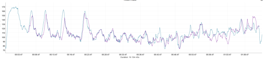 Entrenamiento de fuerza. Azul – Coros Pace 4, morado – Polar Verity Sense.