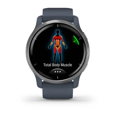 Garmin Venu 2 Silver / Granite Blue Band