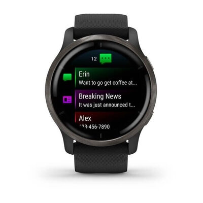 Garmin Venu 2 Slate / Black Band