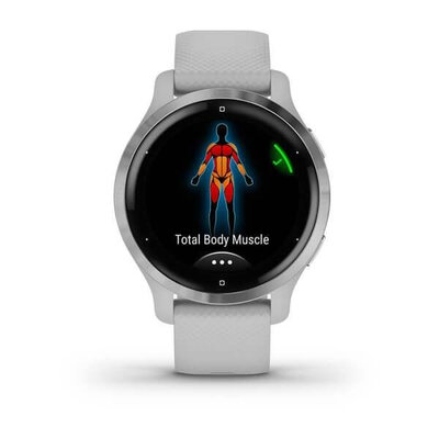 Garmin Venu 2S Silver/Gray Band