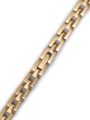 Brazalete de acero inoxidable Orient PDDHZGG (para model LUB89), dorado
