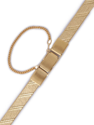 brazalete de acero inoxidable Orient NCDZVGG, dorado