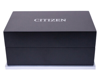 Citizen Series 8 GMT Automatic NB6031-56E
