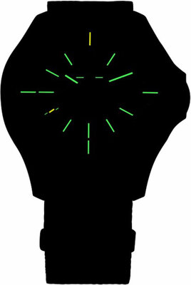 Traser P67 Officer Pro Automatic 110758