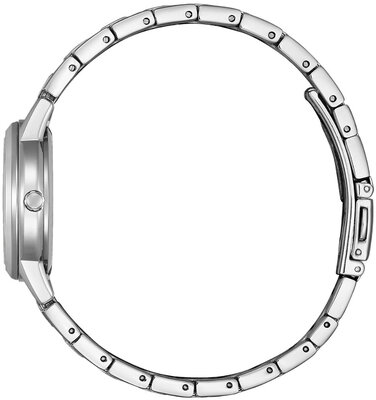 Citizen Elegant Ladies Eco-Drive FE1241-71X