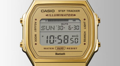 Casio Vintage ABL-100WEG-9AEF