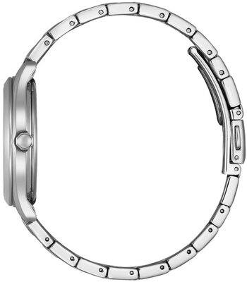 Citizen Elegant Eco-Drive FE6121-67L