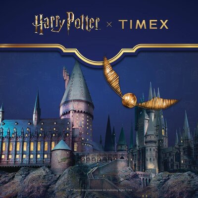 Timex Harry Potter x Weekender Platform 9 3/4 TW2Y76200QY