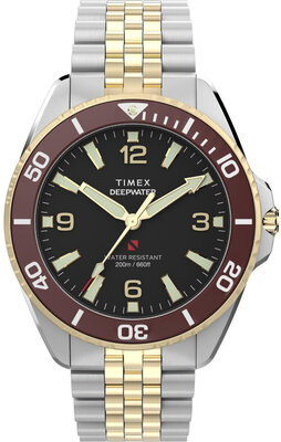 Timex Deepwater Arctic 200 Quartz TW2Y64700UK