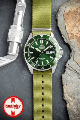 correa de nailon Ricardo, verde V1, NATO