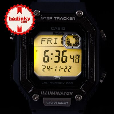 Casio Collection WS-B1000-2AVEF